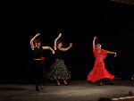 flamenco3.jpg