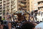 asakusa festival 034a.jpg