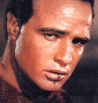 Brando 5.jpg